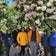 Photo of Walking with a Guide group
